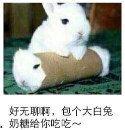 最近热门事件合集吃瓜兔,近期热门事件合集深度解析