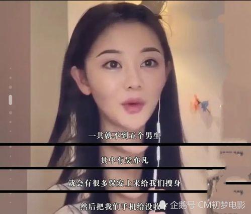 吃瓜视频大全高清 最近热门事件合集吃瓜 网红大鹅陈妍染,吃瓜视频大全高清，揭秘近期热门事件合集