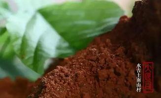 有点料官网,解锁生活新趣味