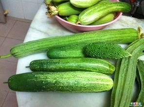 吃瓜网51官网版 网络大瓜,吃瓜网51官网版带你领略娱乐圈风云变幻